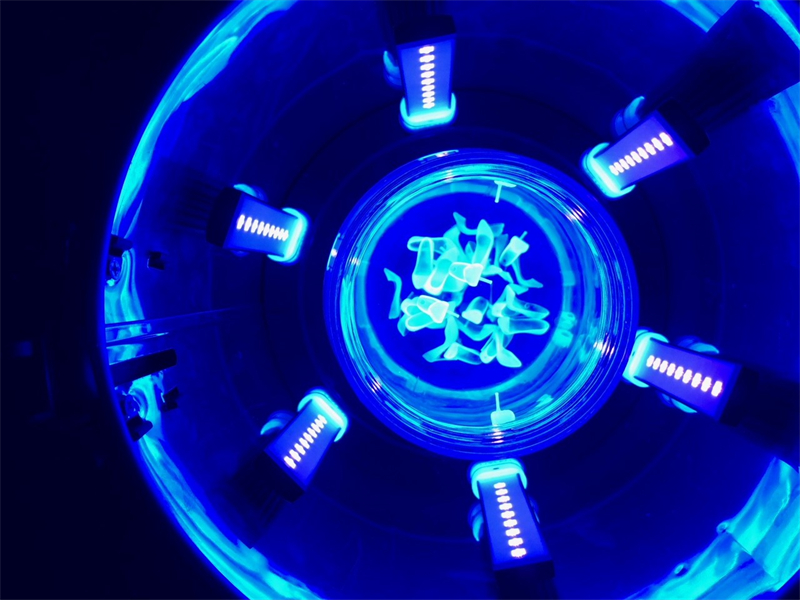 光固化3D打印技術有哪些用途？